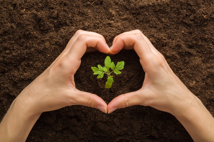 Care for creation